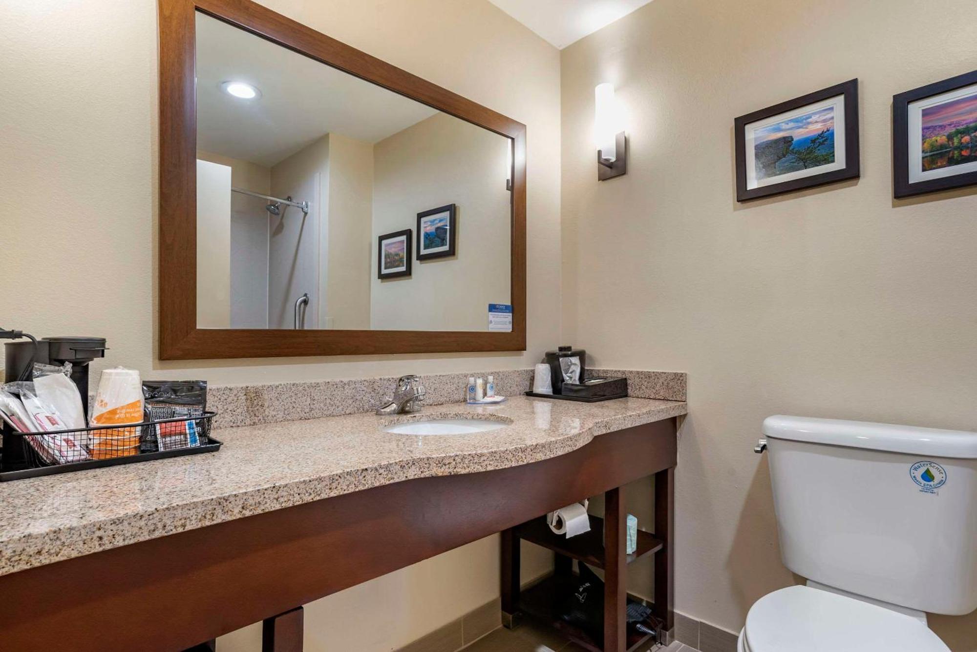 Comfort Suites Pell City I-20 Exit 158 Luaran gambar